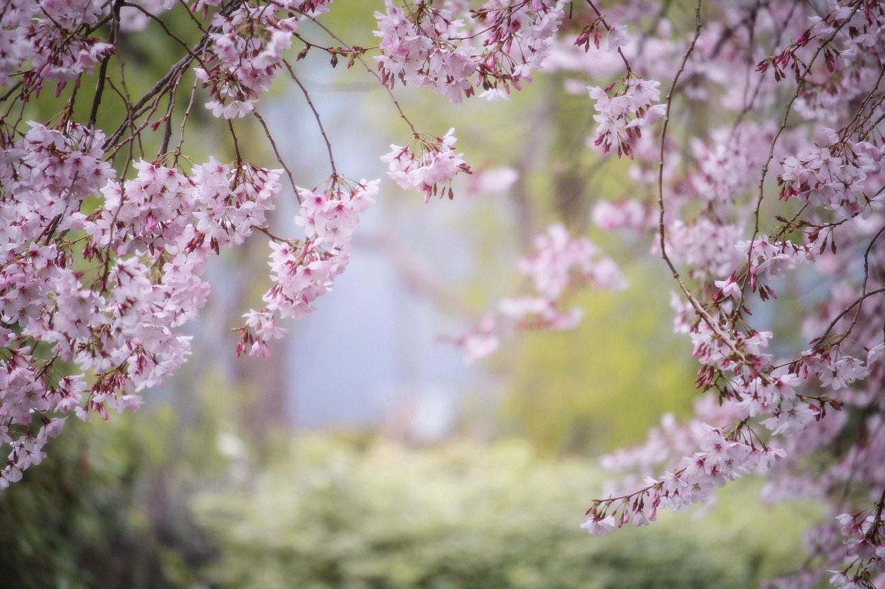 Attracting Pollinators: Creating the Perfect Eco-Garden